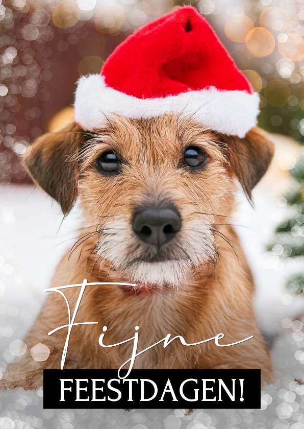 Moderne kerstkaart met grote eigen foto huisdier - Kerstkaarten Kerstkaarten - Moderne kerstkaart met grote eigen foto huisdier