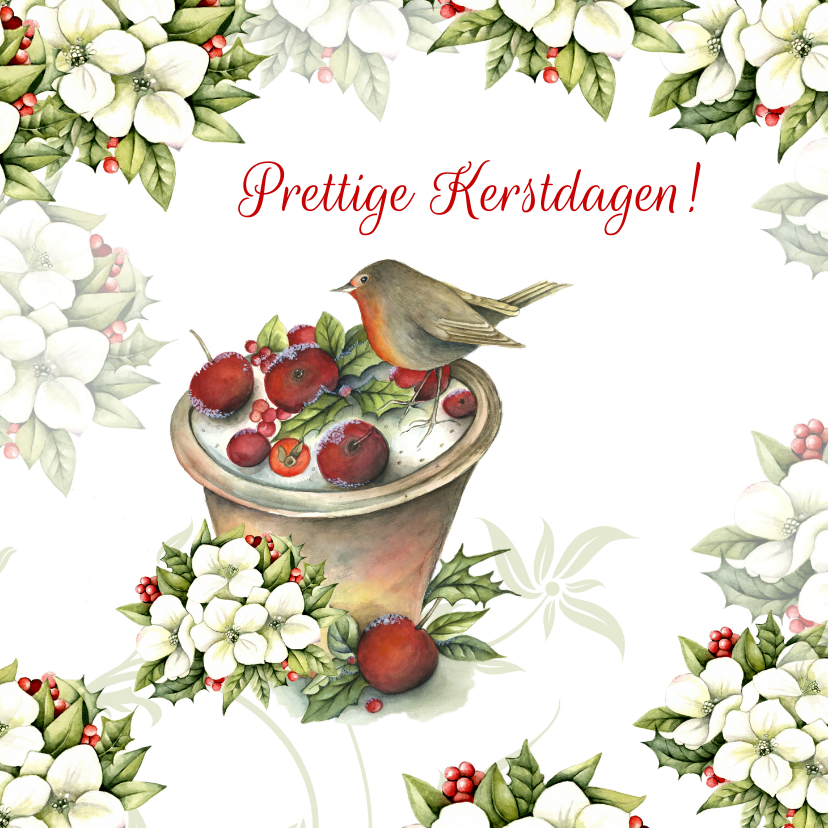 Prettige Kerstdagen roodborstje appels - Kerstkaarten Kerstkaarten - Prettige Kerstdagen roodborstje appels