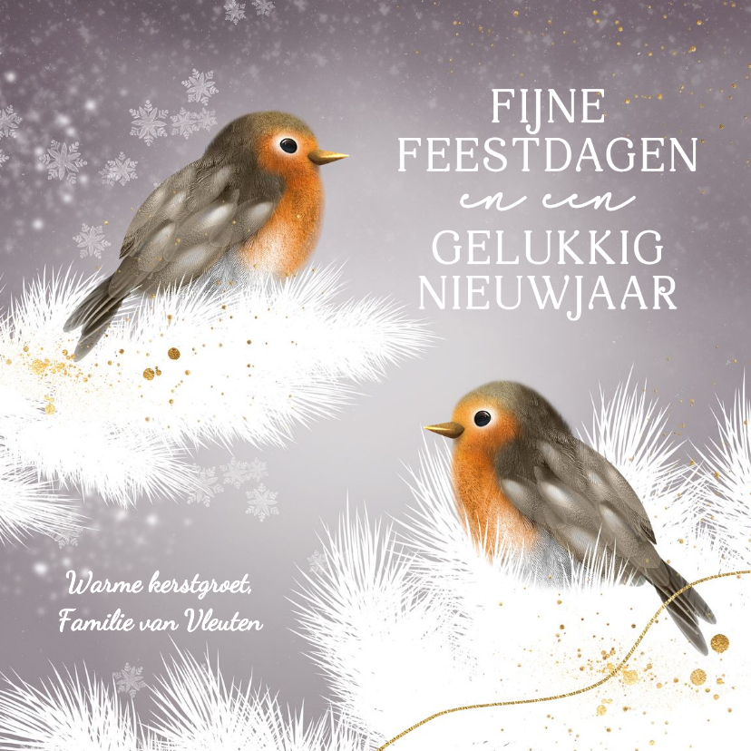 Schattig kerstkaartje roodborstjes in de winter - Kerstkaarten Kerstkaarten - Schattig kerstkaartje roodborstjes in de winter