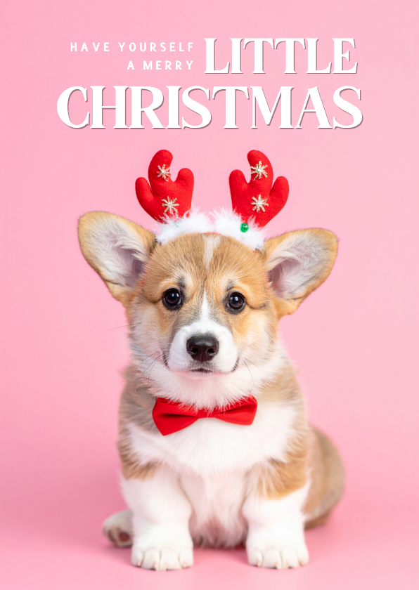 Kerstkaarten - Schattig kerstkaartje roze met corgi puppy