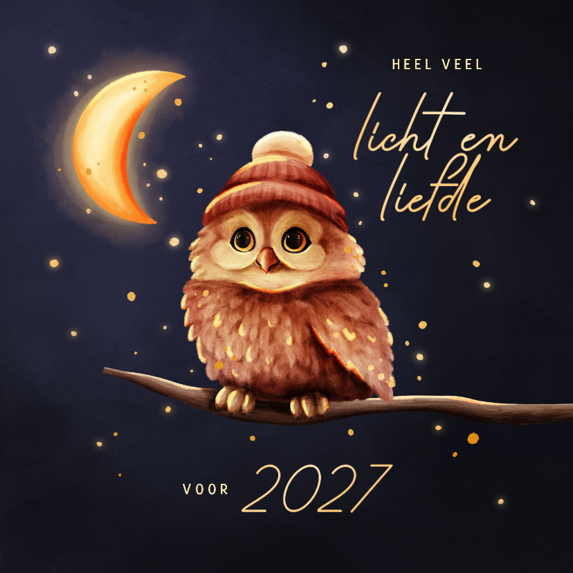 Sprankelende kerstkaart uiltje licht en liefde voor 2027 - Kerstkaarten Kerstkaarten - Sprankelende kerstkaart uiltje licht en liefde voor 2027