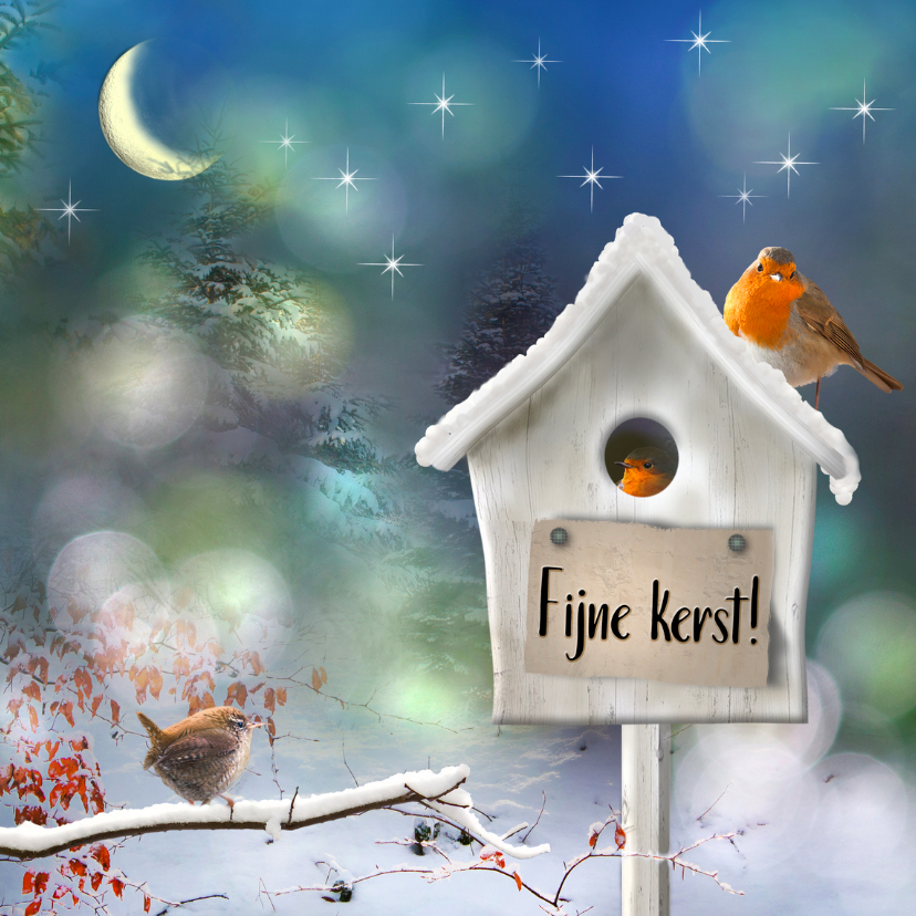 Vogelhuisje in de sneeuw - Kerstkaarten Kerstkaarten - Vogelhuisje in de sneeuw