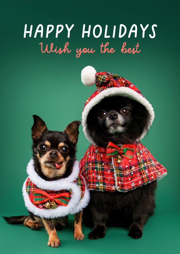 Kerstkaarten - Vrolijke kerstkaart van hondjes met kerstkleding