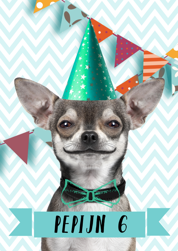 Grappige uitnodiging met hondje en slingers - Kinderfeestjes Kinderfeestjes - Grappige uitnodiging met hondje en slingers