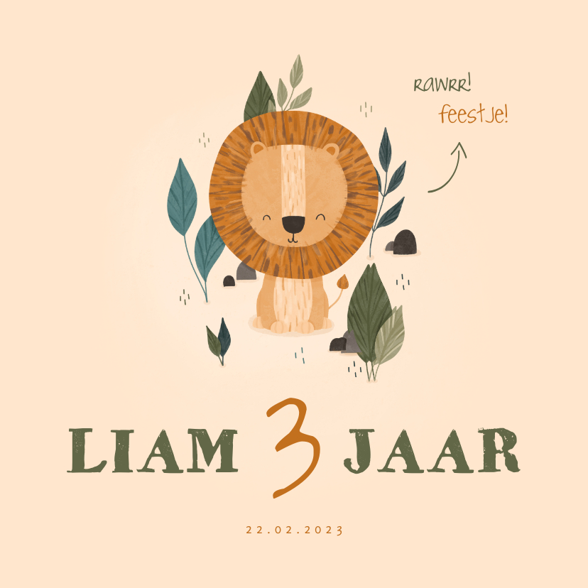 Kinderfeestje leeuwtje jungle aanpasbare leeftijd - Kinderfeestjes Kinderfeestjes - Kinderfeestje leeuwtje jungle aanpasbare leeftijd