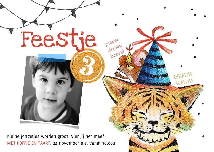 Kinderfeestjes - Kinderfeestje tijger kat jongen