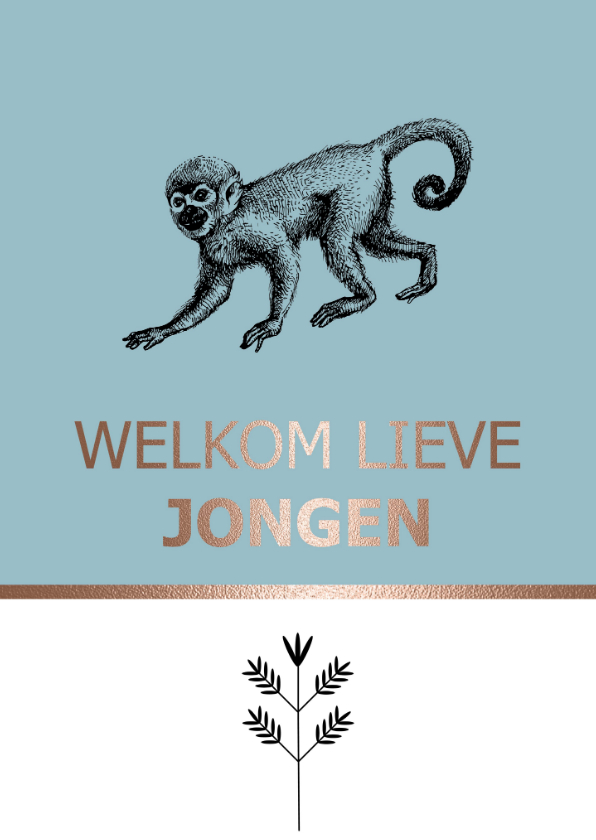 Hippe wenskaart - Welkom lieve jongen - Kinderkaarten Kinderkaarten - Hippe wenskaart - Welkom lieve jongen
