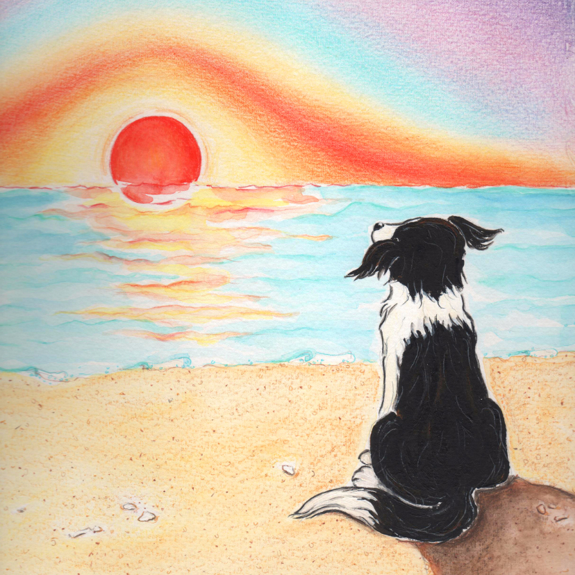 Hondje Sendie ziet de zonsondergang - Kinderkaarten Kinderkaarten - Hondje Sendie ziet de zonsondergang