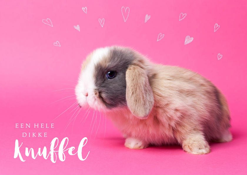 Kinderkaarten - Kinderkaart - Knuffel konijntje roze