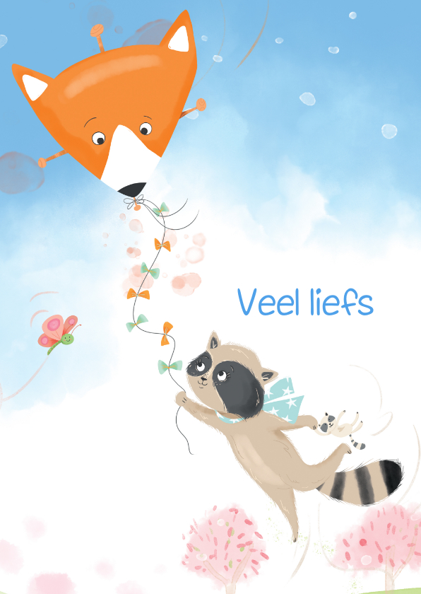 Kinderkaarten - Kinderkaart vlieger