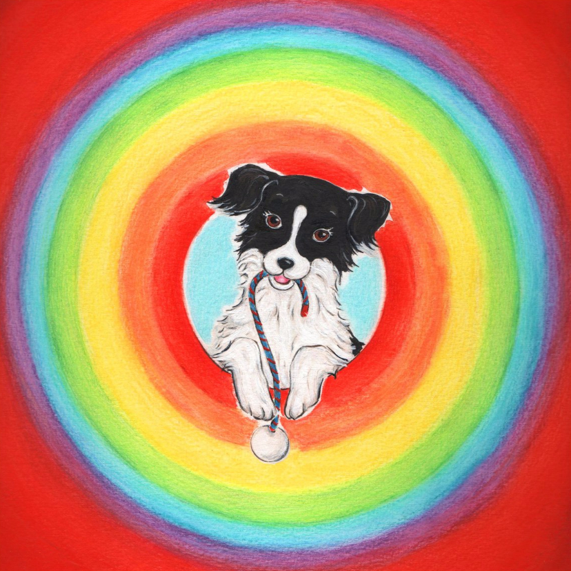 Sendie in de regenboogcirkel - Kinderkaarten Kinderkaarten - Sendie in de regenboogcirkel