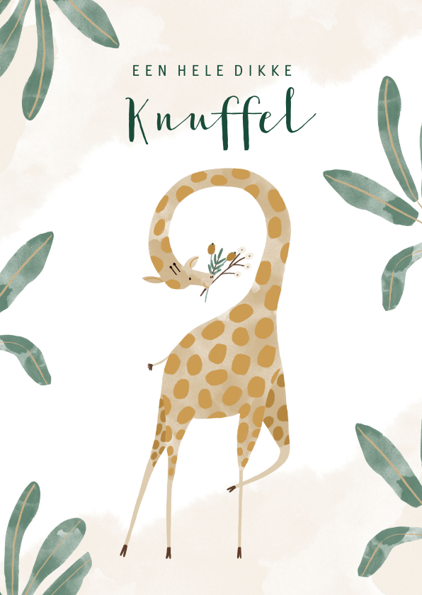 Vrolijke kinderkaart jungle met giraf en dikke knuffel - Kinderkaarten Kinderkaarten - Vrolijke kinderkaart jungle met giraf en dikke knuffel