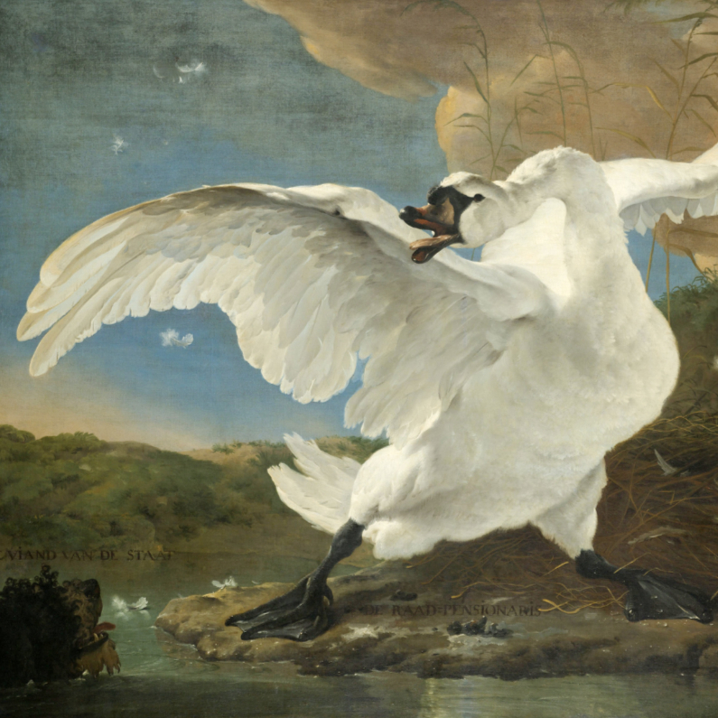 De bedreigde zwaan Jan Asselijn - Kunstkaarten Kunstkaarten - De bedreigde zwaan Jan Asselijn