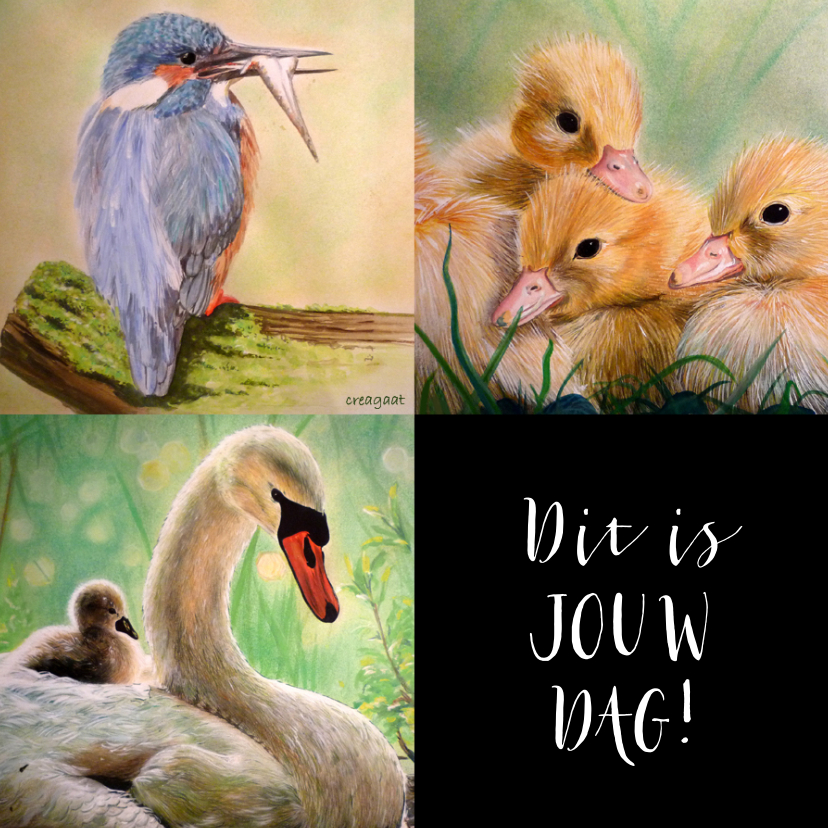Kunst Gevogelte mix - Kunstkaarten Kunstkaarten - Kunst Gevogelte mix
