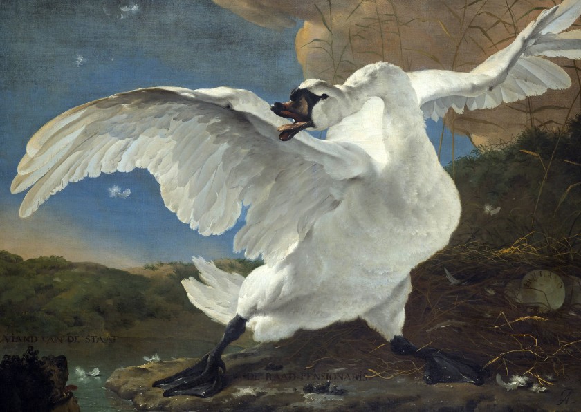 Kunstkaart van Jan Asselijn. De bedreigde zwaan - Kunstkaarten Kunstkaarten - Kunstkaart van Jan Asselijn. De bedreigde zwaan
