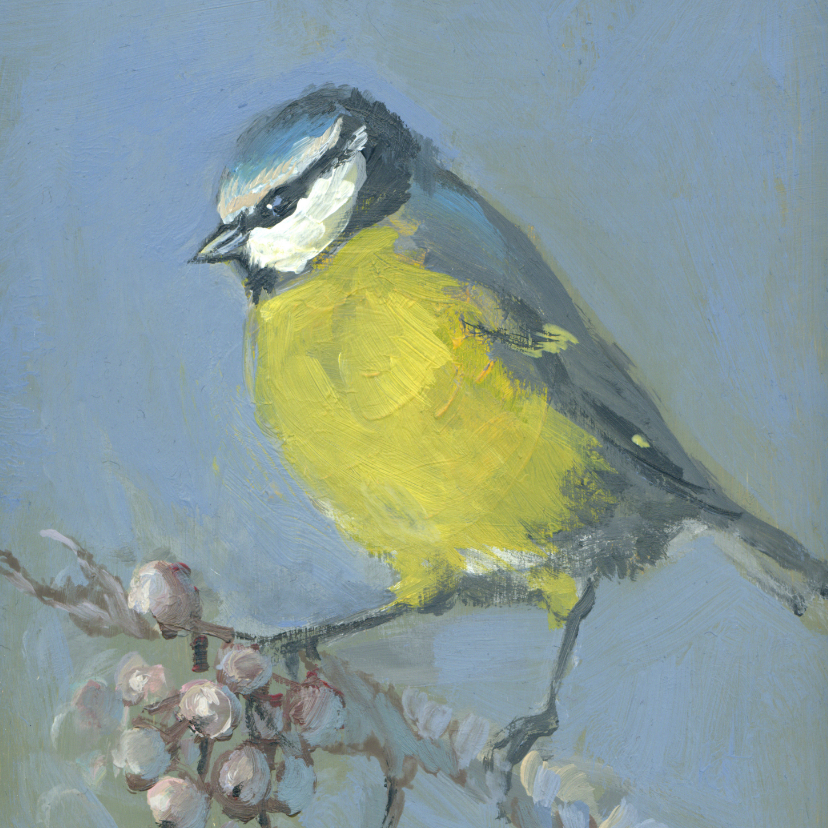 Lief pimpelmeesje schilderij - Kunstkaarten Kunstkaarten - Lief pimpelmeesje schilderij