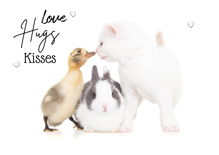 Liefde kaart 'love hugs kisses met konijn kuiken kitten - Liefde kaarten Liefde kaarten - Liefde kaart 'love hugs kisses met konijn kuiken kitten