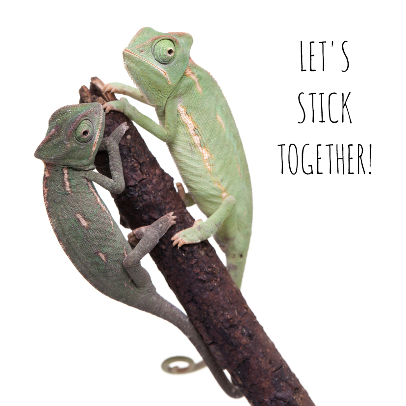 Liefde kaarten - Liefde - Let's stick together - Kameleon