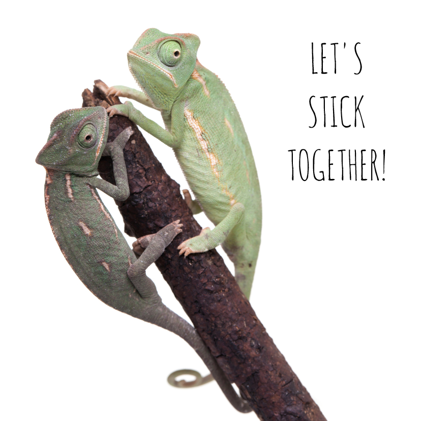Liefde - Let's stick together - Kameleon - Liefde kaarten Liefde kaarten - Liefde - Let's stick together - Kameleon