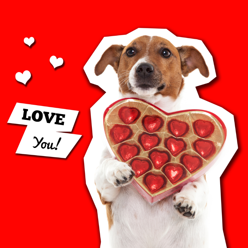 Liefde kaarten - Love you! Hondje met hartjes bonbons