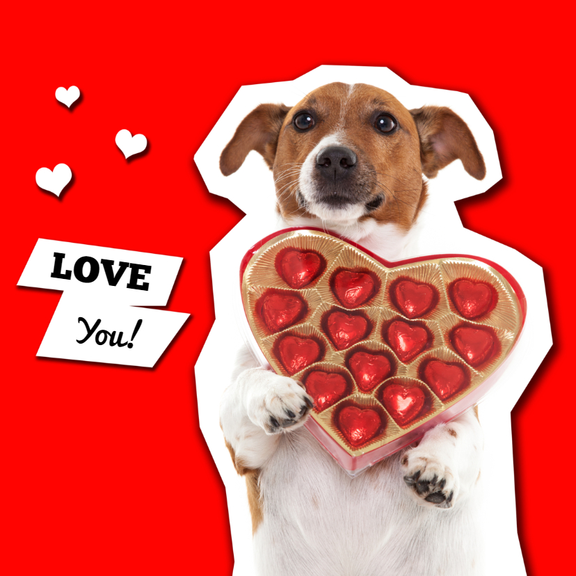 Love you! Hondje met hartjes bonbons - Liefde kaarten Liefde kaarten - Love you! Hondje met hartjes bonbons