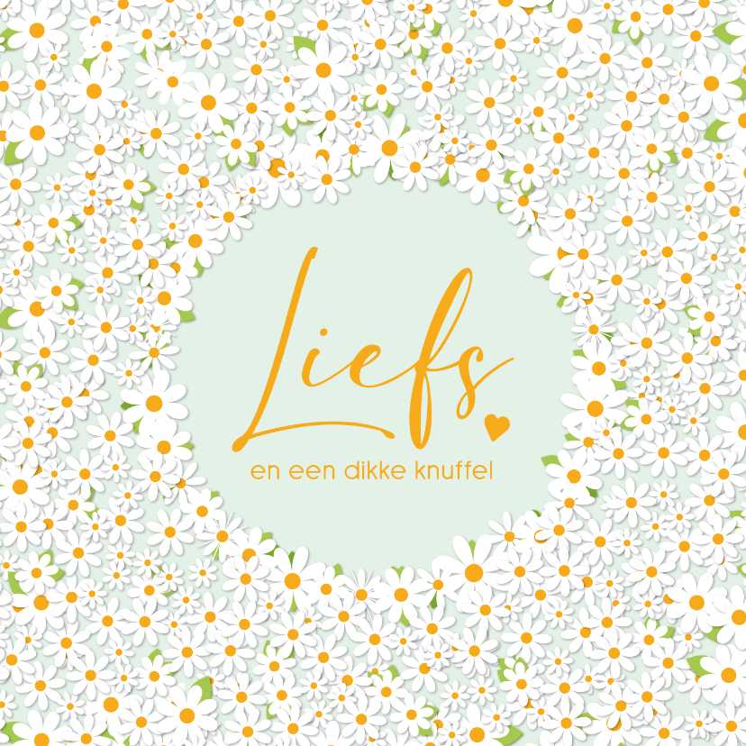 Zomaarkaart liefs en een dikke knuffel daisy - Liefde kaarten Liefde kaarten - Zomaarkaart liefs en een dikke knuffel daisy