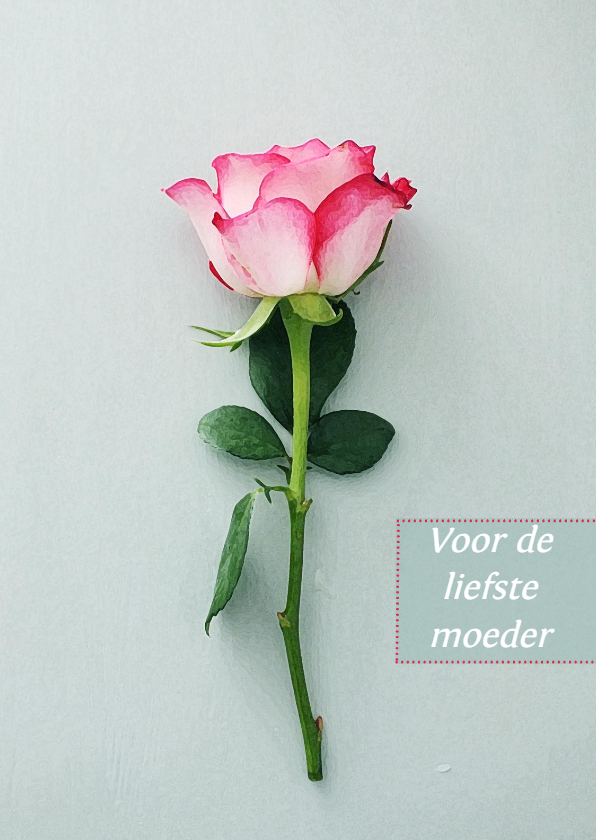Moederdag kaarten - Kaart roos