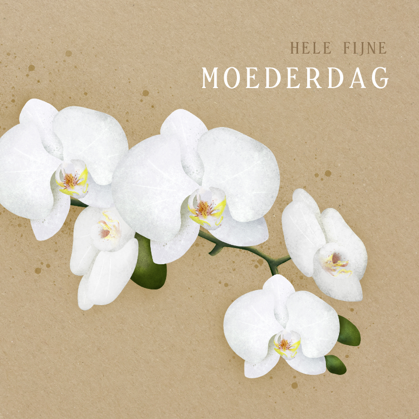 Moederdag kaarten - Modern klassieke moederdagkaart met illustratie van orchidee