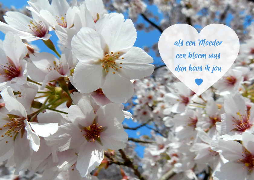 Moederdag bloesem hart - Moederdag kaarten Moederdag kaarten - Moederdag bloesem hart