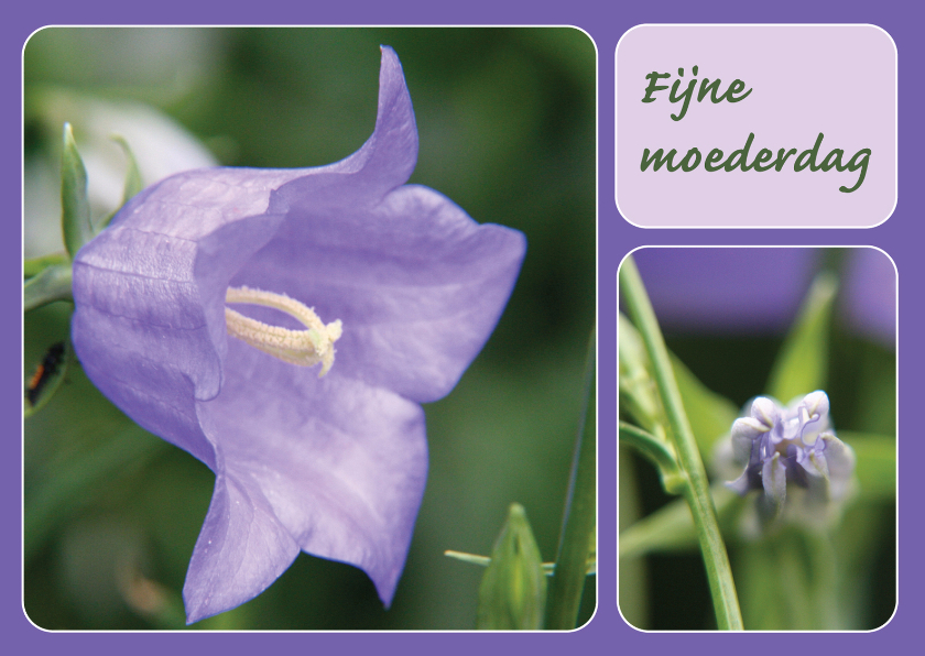 Moederdagkaart 'Fijne moederdag' - Moederdag kaarten Moederdag kaarten - Moederdagkaart 'Fijne moederdag'