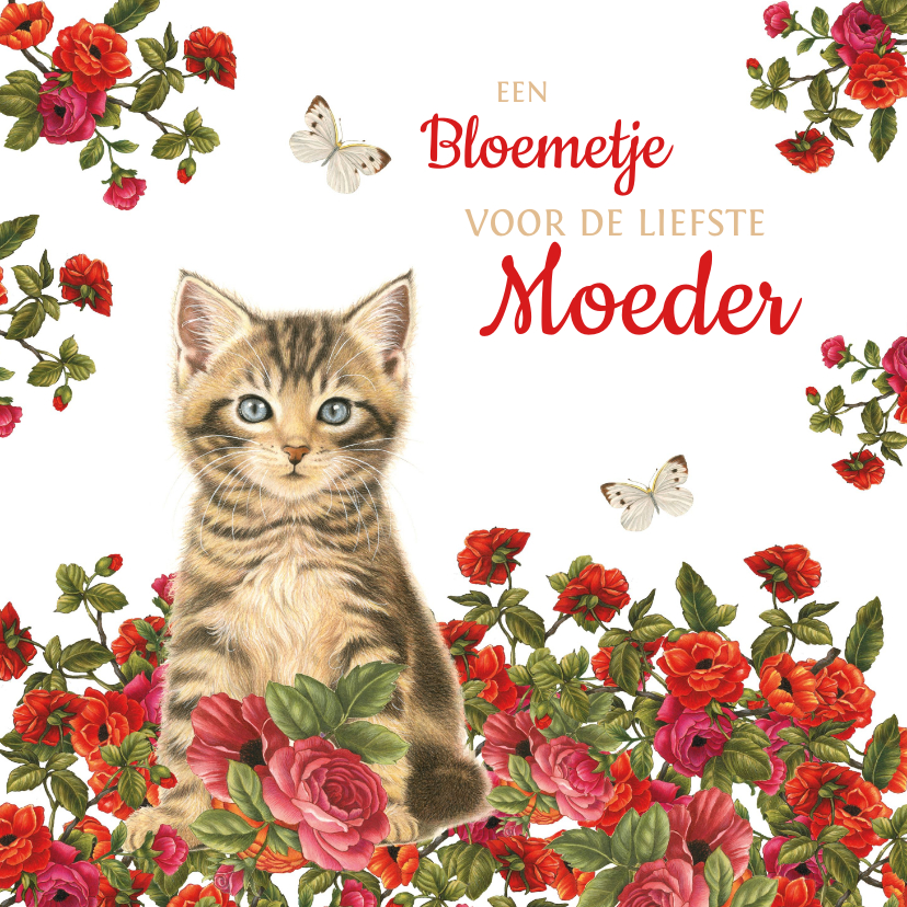 Moederdag kaarten - Moederdagkaart met kitten in rood bloemenveld