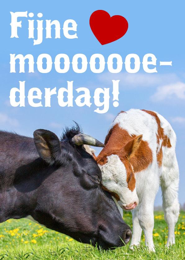 Moederdag kaarten - Moooederdag kaart