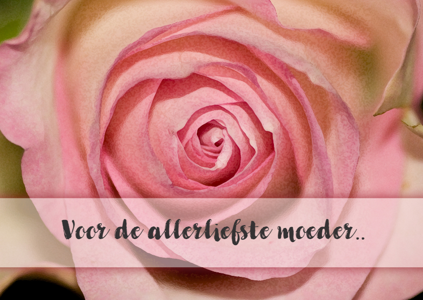 roos eigen tekst - Moederdag kaarten Moederdag kaarten - roos eigen tekst