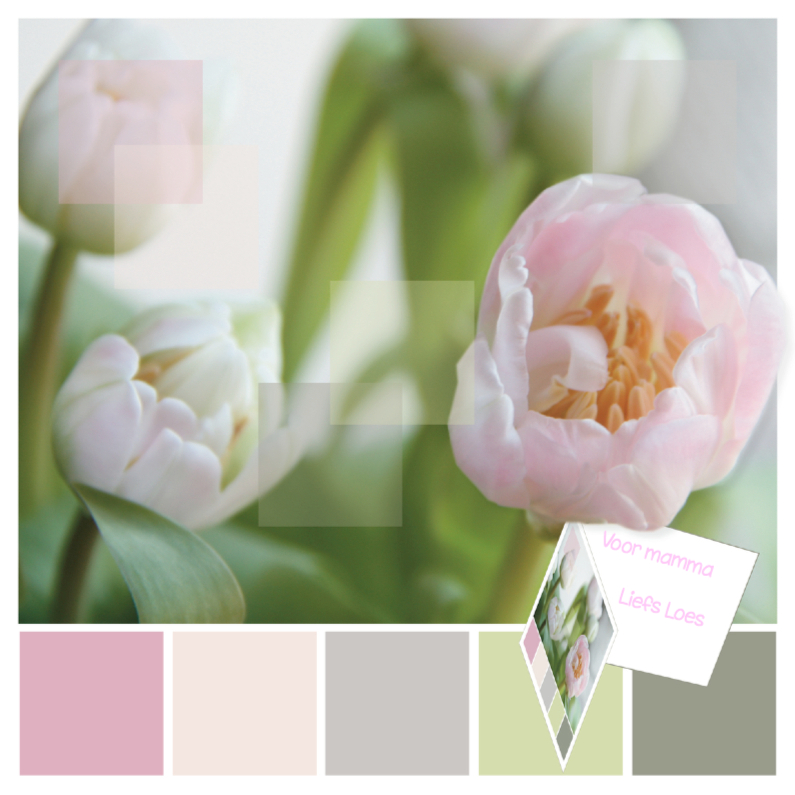 Tulpenkaart met kaartje en eigen tekst - Moederdag kaarten Moederdag kaarten - Tulpenkaart met kaartje en eigen tekst