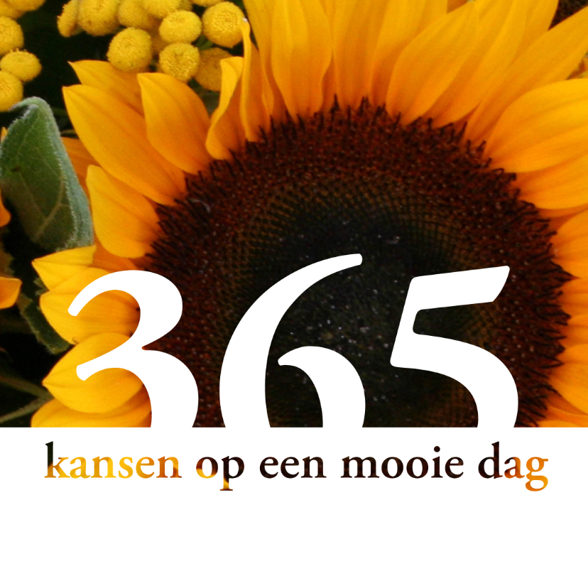 2019 - 365 kansen - Nieuwjaarskaarten Nieuwjaarskaarten - 2019 - 365 kansen