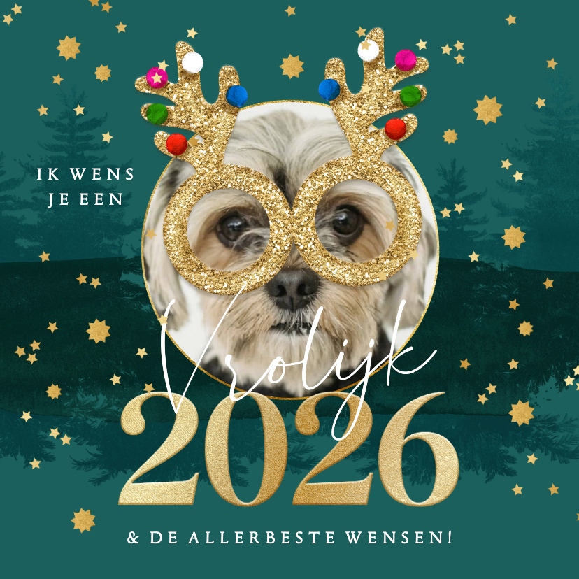 Grappige nieuwjaarskaart glitterbril foto jaartal goudlook - Nieuwjaarskaarten Nieuwjaarskaarten - Grappige nieuwjaarskaart glitterbril foto jaartal goudlook