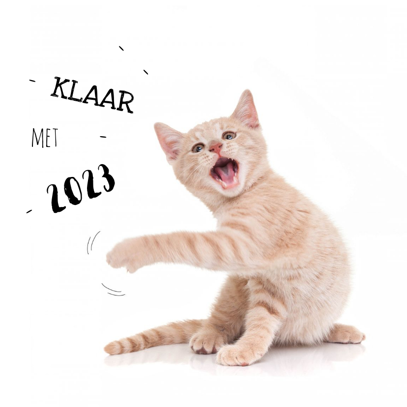 Nieuwjaarskaarten - Nieuwjaarskaart kat kitten klaar met 2023