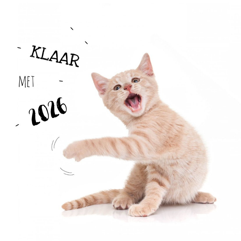 Nieuwjaarskaarten - Nieuwjaarskaart kat kitten klaar met 2026