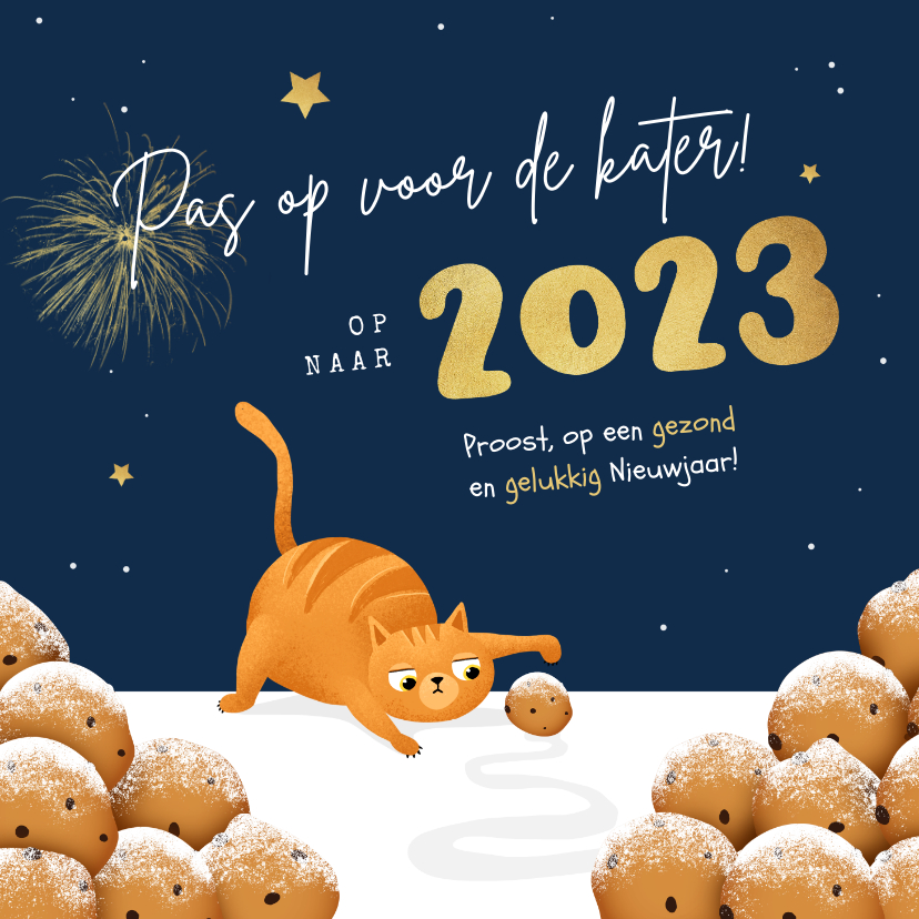 Nieuwjaarskaarten - Nieuwjaarskaart kat oliebollen grappig 2023 kater sterren