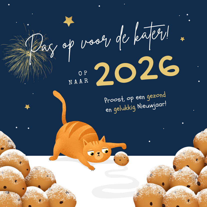 Nieuwjaarskaarten - Nieuwjaarskaart kat oliebollen grappig 2027 kater sterren