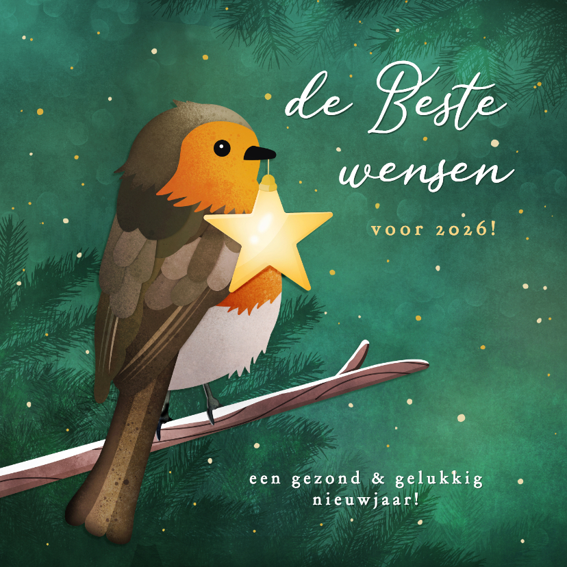 Nieuwjaarskaarten - Nieuwjaarskaart met roodborstje en ster