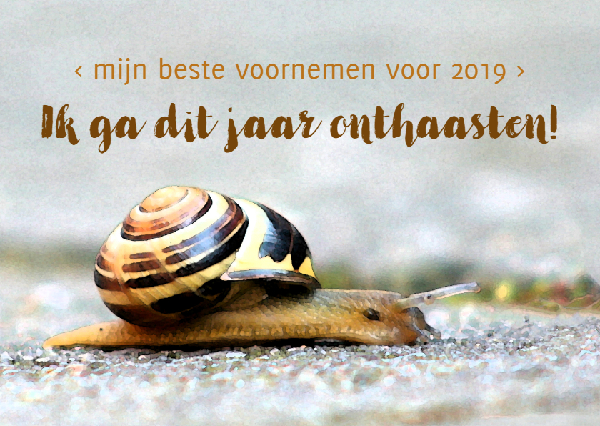 Nieuwjaarskaart Onthaasten - Nieuwjaarskaarten Nieuwjaarskaarten - Nieuwjaarskaart Onthaasten