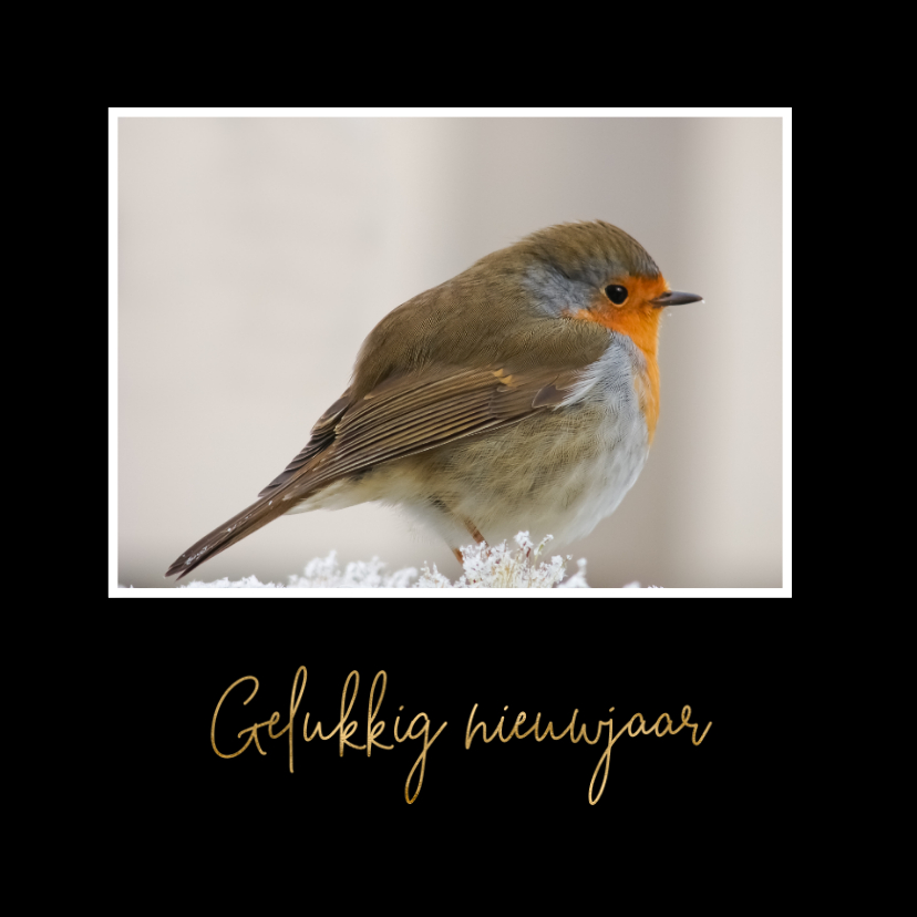 Nieuwjaarskaart roodborst - winter - Nieuwjaarskaarten Nieuwjaarskaarten - Nieuwjaarskaart roodborst - winter