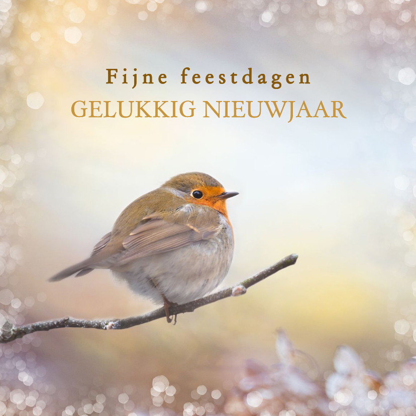 Nieuwjaarskaart roodborst - Nieuwjaarskaarten Nieuwjaarskaarten - Nieuwjaarskaart roodborst