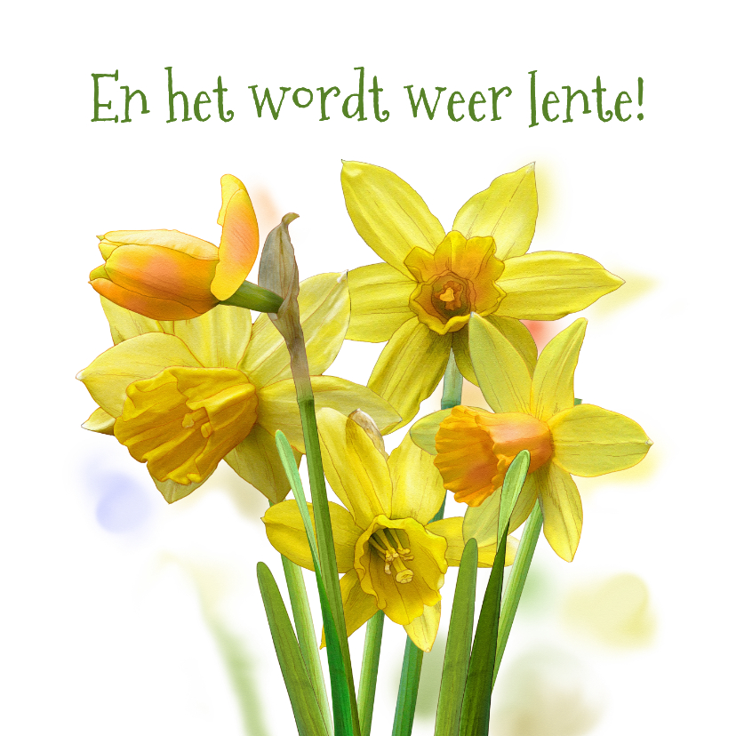 Paaskaarten - Mooie paaskaart met narcissen in waterverf