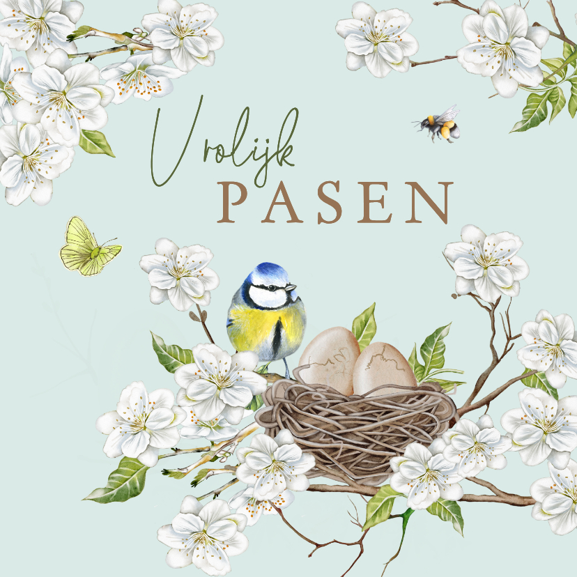 Paaskaarten - Paaskaart bloesemtakken met eitjes