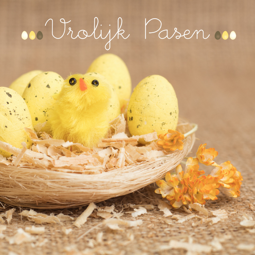 Paaskaart met nest kuikens en gele eieren - Paaskaarten Paaskaarten - Paaskaart met nest kuikens en gele eieren