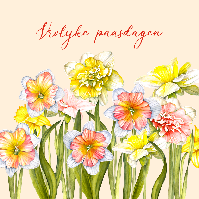Paaskaarten - Paaskaart narcissen voorjaar