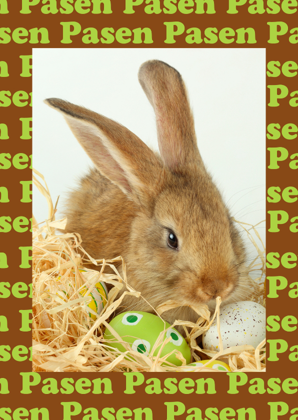 Paaskaarten - Pasen foto konijn met eieren
