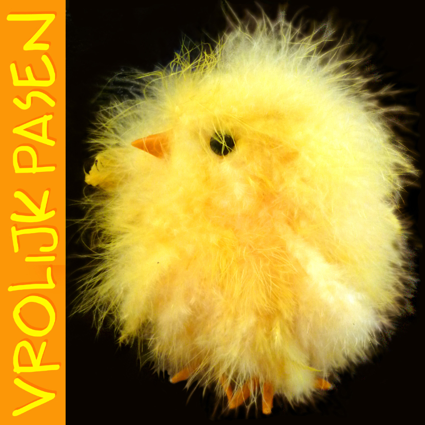 Pasen Kuiken bolletje - Paaskaarten Paaskaarten - Pasen Kuiken bolletje